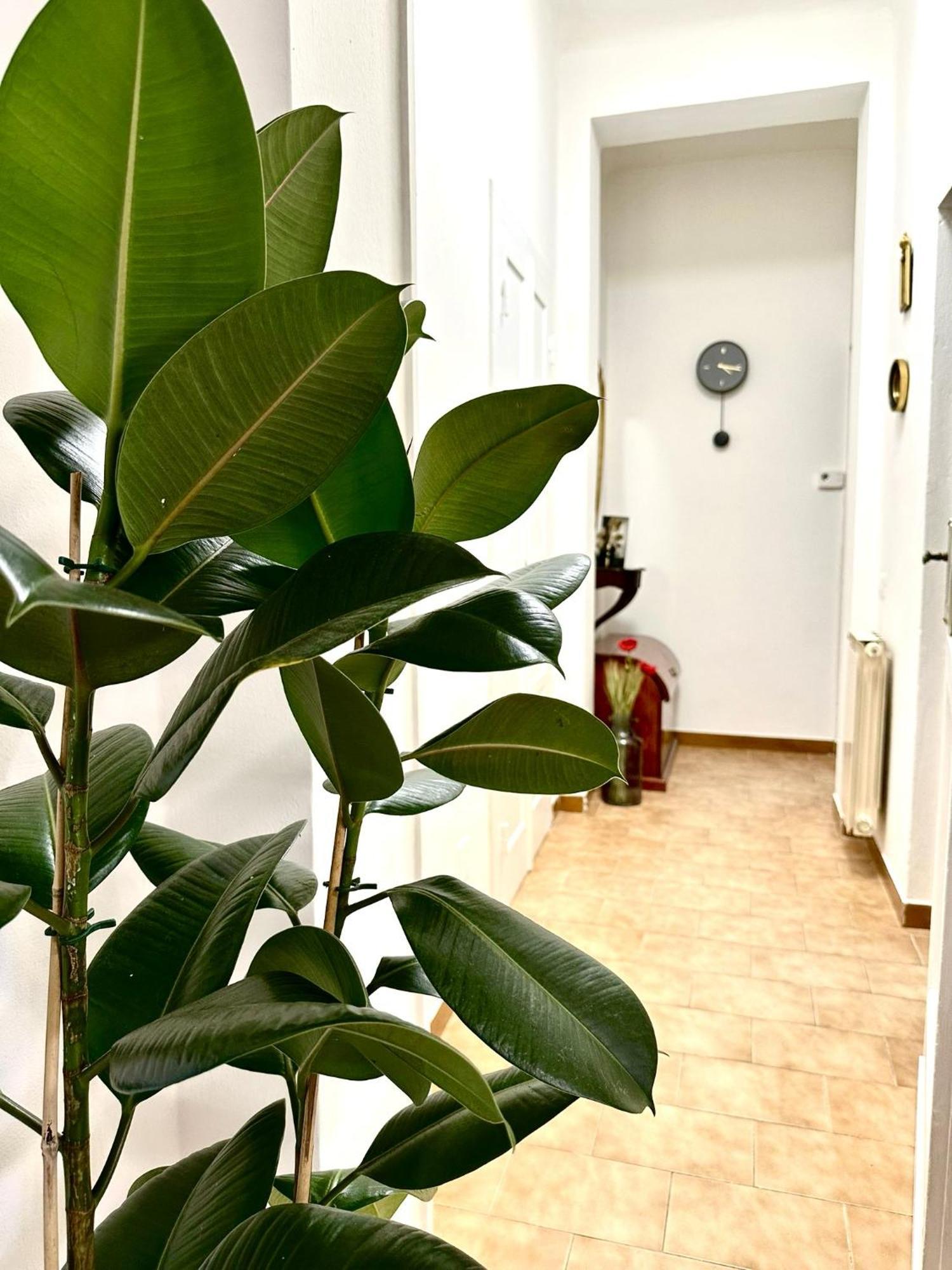 Villa Casa Ganza Pisa Esterno foto